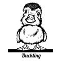 Cute baby duck - Ducking line art vector illustration.