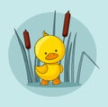 Cute baby duck and reed on blue background Royalty Free Stock Photo