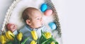 Cute baby Easter bunny. Little baby boy with bunny ears and Easter eggs in wicker basket in white fur. Symbol of Easter holiday, Royalty Free Stock Photo