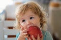Cute baby eat apple. Portrait of cute adorable caucasian child kid eating fruit. Royalty Free Stock Photo