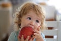 Cute baby eat apple. Portrait of cute adorable caucasian child kid eating fruit. Royalty Free Stock Photo