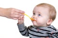 Cute Baby Eating Lunch Royalty Free Stock Photo