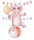 Cute baby elephant balancing on the ball watercolor illustration Royalty Free Stock Photo