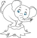 Cute baby elephant cartoon