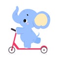 Cute Baby Elephant Character with Trunk Riding Scooter Vector Illustration Royalty Free Stock Photo