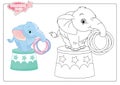 Cute baby elephant coloring page on white background Royalty Free Stock Photo