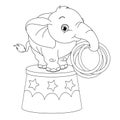 Cute baby elephant coloring page on white background Royalty Free Stock Photo