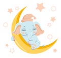 Cute baby elephant concept Royalty Free Stock Photo