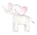 Cute Baby Elephant Illustration Royalty Free Stock Photo