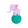 Cute Baby Elephant, Pink Lovely Animal Character standing on Ball Vector Illustration Royalty Free Stock Photo