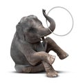 Elephant playing hulahoop Royalty Free Stock Photo