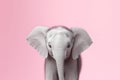 Cute Baby Elephant Portrait in Minimalist Studio Setting. Generative AI Illustration