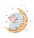 Cute baby elephant sleeping on the crescent