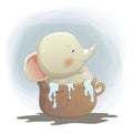 Cute Baby Elephant splashing water in the Cup
