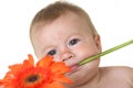 Cute baby with flower in teeth