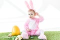 Baby in funny bunny costume sitting near Easter eggs, tulips and yellow ostrich egg  on white Royalty Free Stock Photo