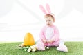 Baby in funny bunny costume sitting near yellow ostrich egg, colorful Easter eggs and tulips  on white Royalty Free Stock Photo