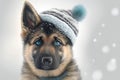 Cute Baby German Shepherd Wearing A Hat Royalty Free Stock Photo