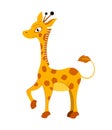 Cute baby giraffe character. Flat vector illustration. Funny wild animal isolated on white background. Royalty Free Stock Photo