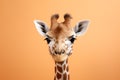 Cute Baby Giraffe Portrait in Vibrant Minimalist Studio. Generative AI Illustration