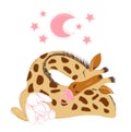 Cute baby giraffe sleeping with a plush and a pacifier to celebrate new birth