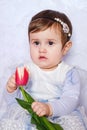 Cute Baby girl in blue dress holding tulip. Holiday card for mothers or fathers day greeting. Portrait Of A Beautiful Little Girl Royalty Free Stock Photo