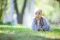 Cute baby girl crawling on lawn in park Royalty Free Stock Photo