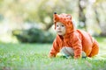 Cute baby girl dressed in fox costume crawling on lawn in park Royalty Free Stock Photo