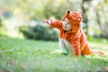 Cute baby girl dressed in fox costume crawling in park Royalty Free Stock Photo