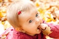 Cute baby girl eating leaves Royalty Free Stock Photo