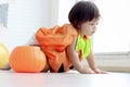 Cute baby girl kid dressing up in orange fancy Halloween pumpkin costume crawling on floor, cheerful little cute child with orange Royalty Free Stock Photo