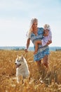 Cute baby girl with mom and dog on wheat field. Happy young family enjoy time together at the nature. Mom, little baby Royalty Free Stock Photo