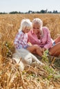 Cute baby girl with mom and dog on wheat field. Happy young family enjoy time together at the nature. Mom, little baby Royalty Free Stock Photo