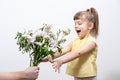 A man`s hand holds out a bouquet of white flowers to a cute little girl Royalty Free Stock Photo