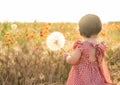 cute baby girl in red dress holding large dandelion on field of poppies at summer sunset Royalty Free Stock Photo