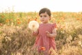 cute baby girl in red dress holding large dandelion on field of poppies at summer sunset Royalty Free Stock Photo