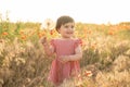 cute baby girl in red dress holding large dandelion on field of poppies at summer sunset Royalty Free Stock Photo