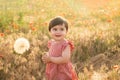 cute baby girl in red dress holding large dandelion on field of poppies at summer sunset Royalty Free Stock Photo