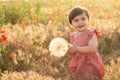 cute baby girl in red dress holding large dandelion on field of poppies at summer sunset Royalty Free Stock Photo