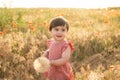 cute baby girl in red dress holding large dandelion on field of poppies at summer sunset Royalty Free Stock Photo