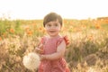 cute baby girl in red dress holding large dandelion on field of poppies at summer sunset Royalty Free Stock Photo