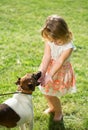 Cute baby girl with Russell Terrier dog on green grass in summertime. Funny little kid on nature. Happy Childhood. Royalty Free Stock Photo