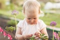 Cute baby girl smelling pink flower in the garden Royalty Free Stock Photo