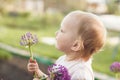 Cute baby girl smelling purple Allium flower in the garden Royalty Free Stock Photo