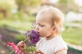 Cute baby girl smelling purple Allium flower in the garden Royalty Free Stock Photo