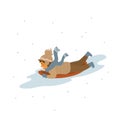 Cute baby girl snow sledding isolated vector illustration Royalty Free Stock Photo