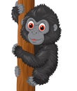 Cute baby gorilla climbing tree