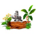 Cute baby gorilla posing on tree stump Royalty Free Stock Photo