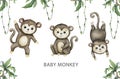 Cute baby monkey Hand drawn adorable watercolor african animals illustration on white background Royalty Free Stock Photo