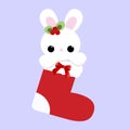 Cute baby holiday Christmas a little white Bunny inside the sock Royalty Free Stock Photo